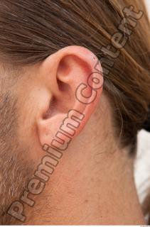 Ear texture of street references 387 0001